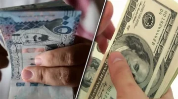 تحركات مفاجئة.. سعر الدولار أمام الجنيه المصري في مطلع تعاملات الثلاثاء بالبنوك المصرية